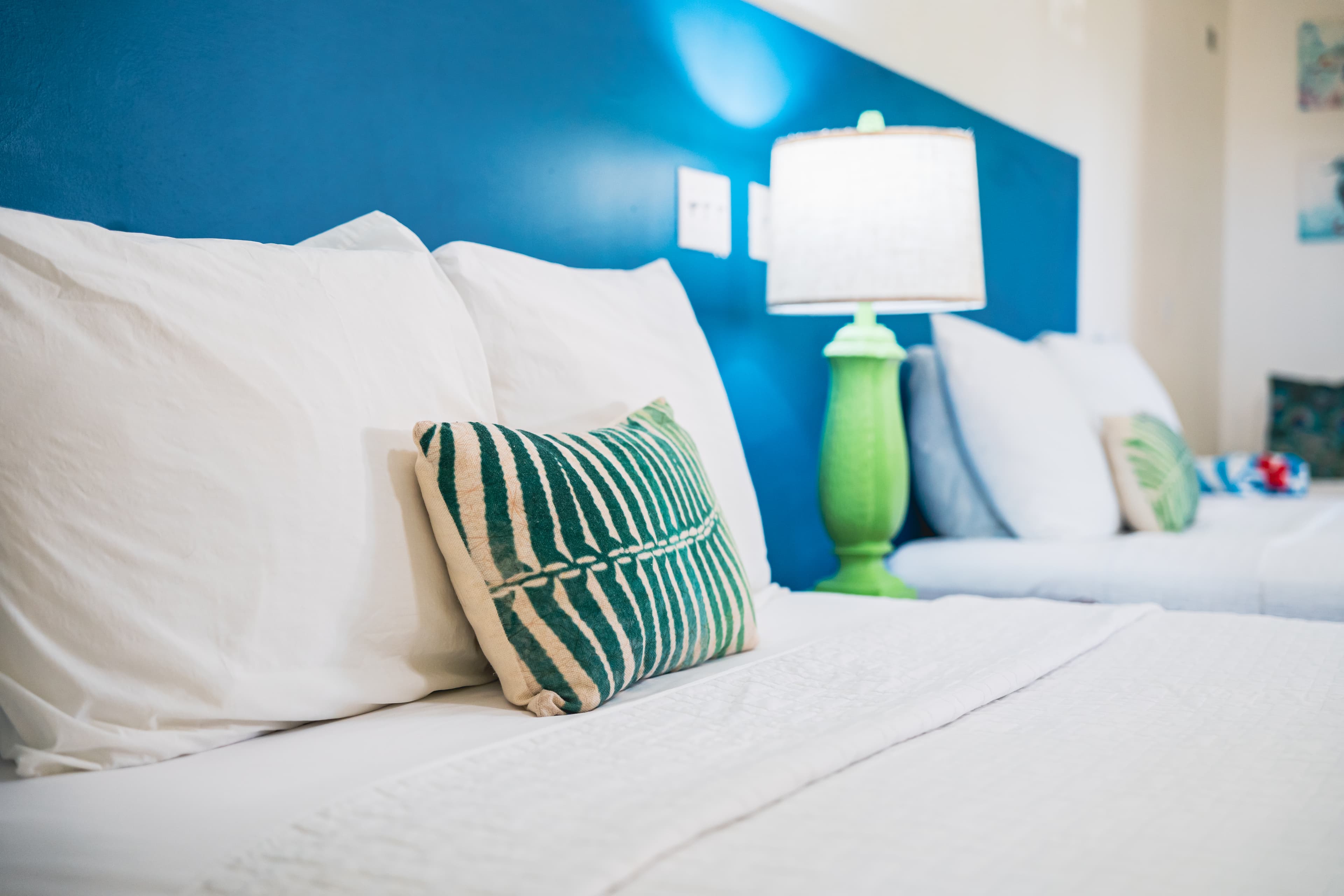 write an alt tag for only this image: