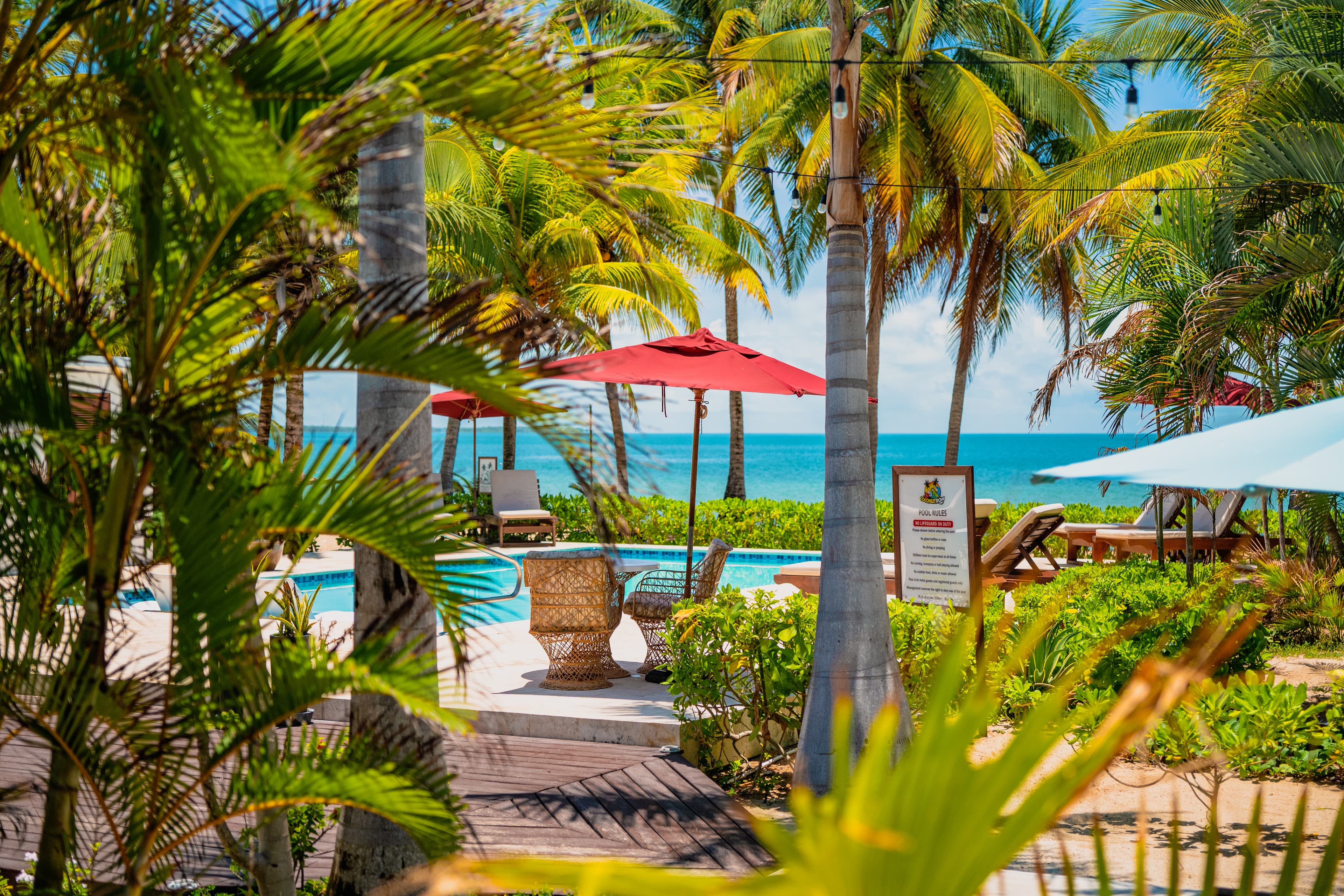 A swimming pool area surrounded by lush tropical greenery and tall palm trees, with a view of the turquoise sea in the background. The scene includes red sun umbrellas, lounge chairs, and a paved patio area under a bright, clear sky.