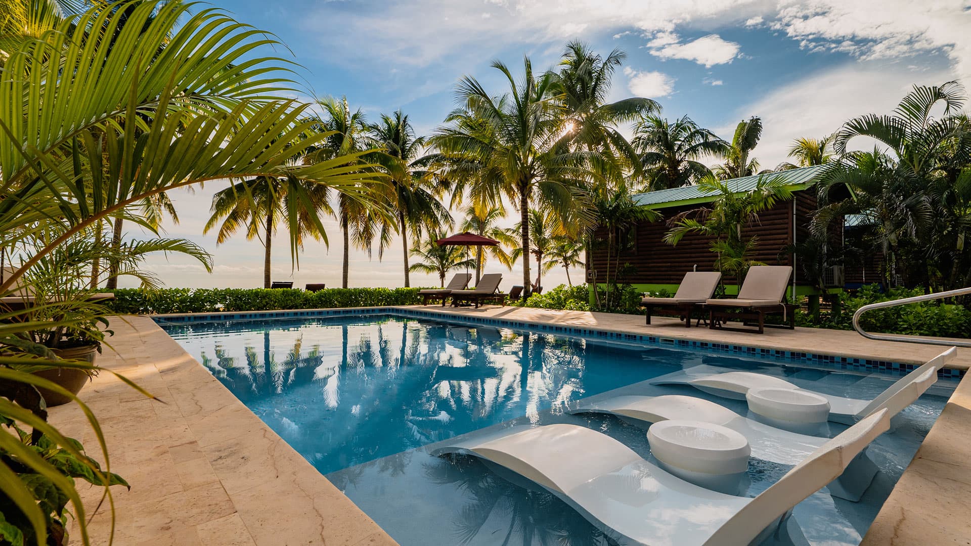 A serene outdoor pool area surrounded by palm trees and lounge chairs overlooking the ocean.