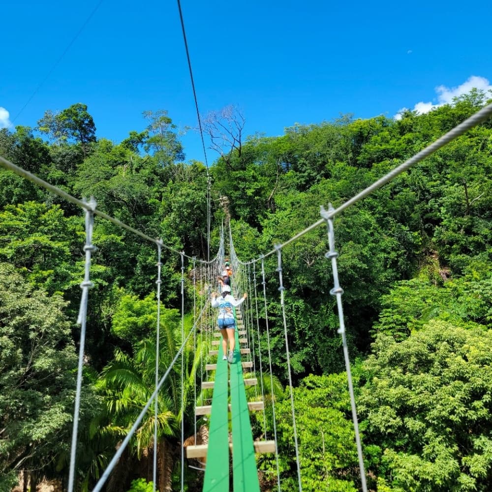 A person walks on a green suspension bridge surrounded by lush green trees under a clear blue sky.