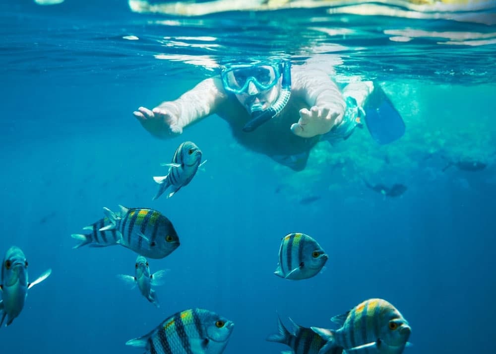 A person snorkeling underwater surrounded by colorful fish.