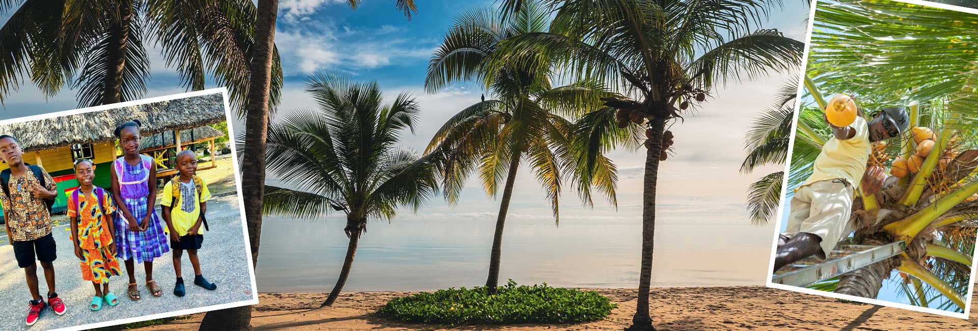 A tropical beach scene with palm trees, complemented by images of children posing and people harvesting coconuts.