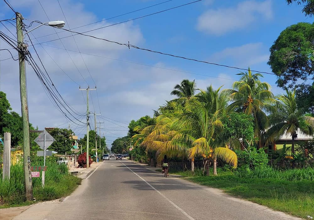 A scenic street lined with palm trees under a partly cloudy sky.