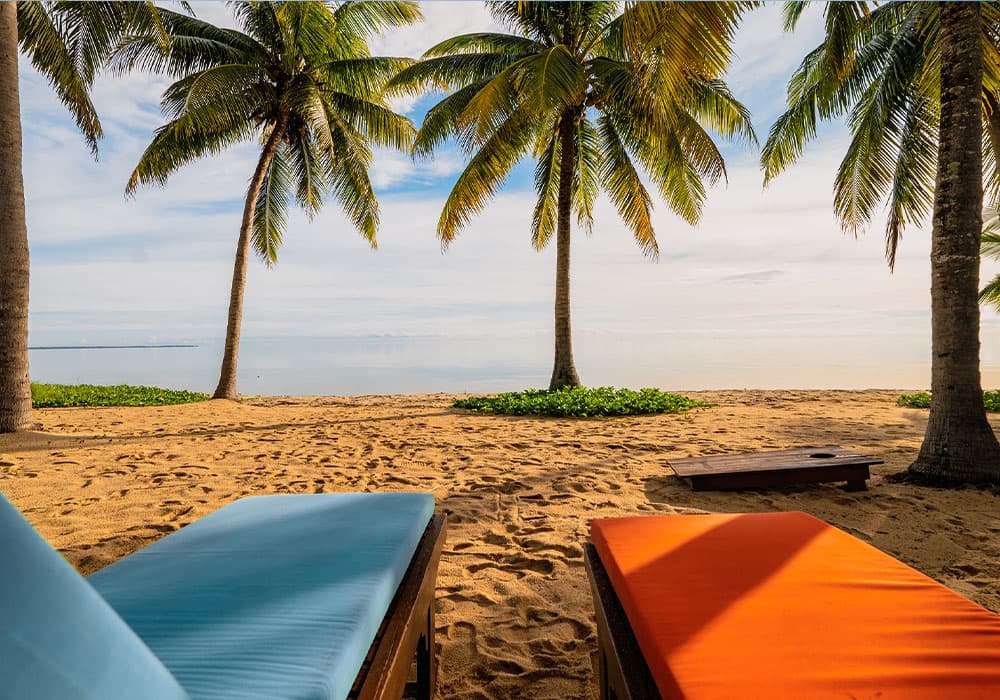 A serene beach scene with palm trees, two sun loungers, and calm waters in the background.