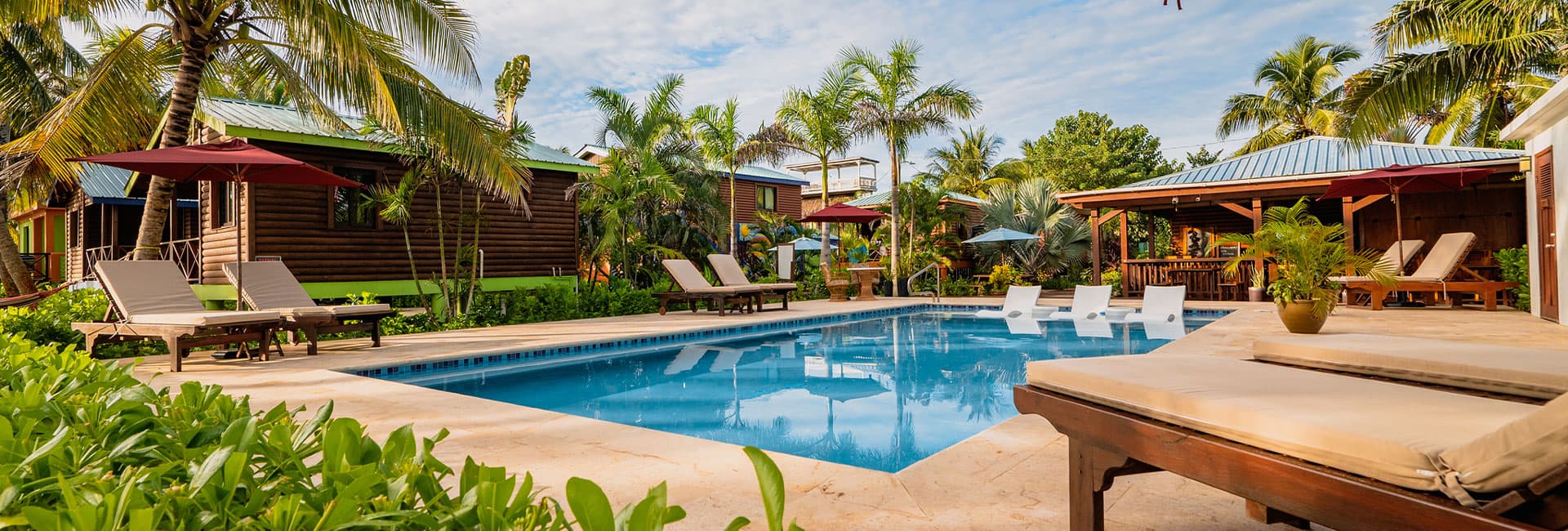 A tranquil poolside scene surrounded by tropical vegetation and lounge chairs.