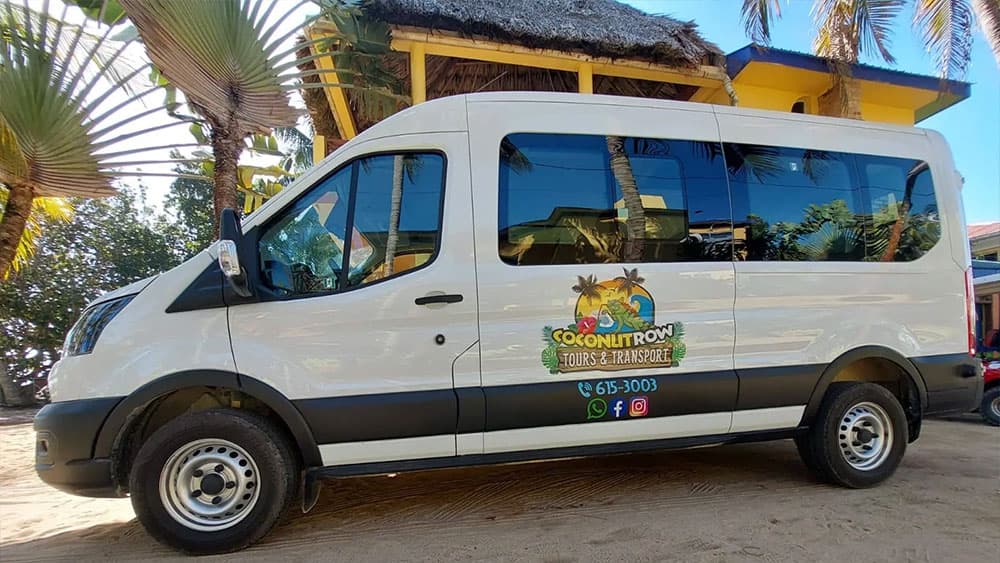 A white van with "Coconut Row Tours & Transport" branding parked near palm trees and a colorful building.