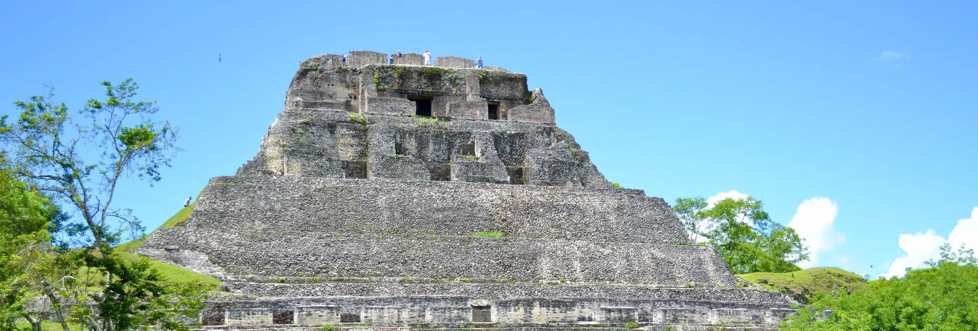 An ancient Maya pyramid surrounded by lush greenery under a clear blue sky.