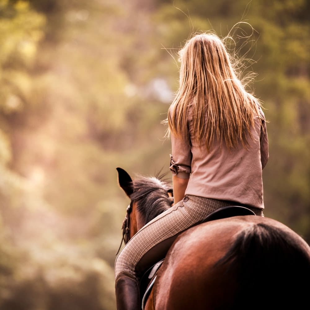 A young rider sits atop a horse, gazing into a sunlit landscape.