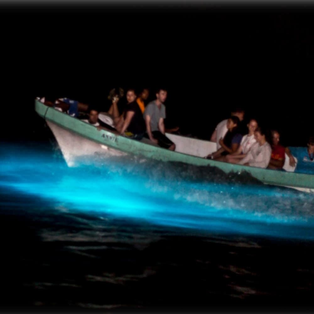 A group of people in a small boat is illuminated by vibrant blue bioluminescence in the water at night.
