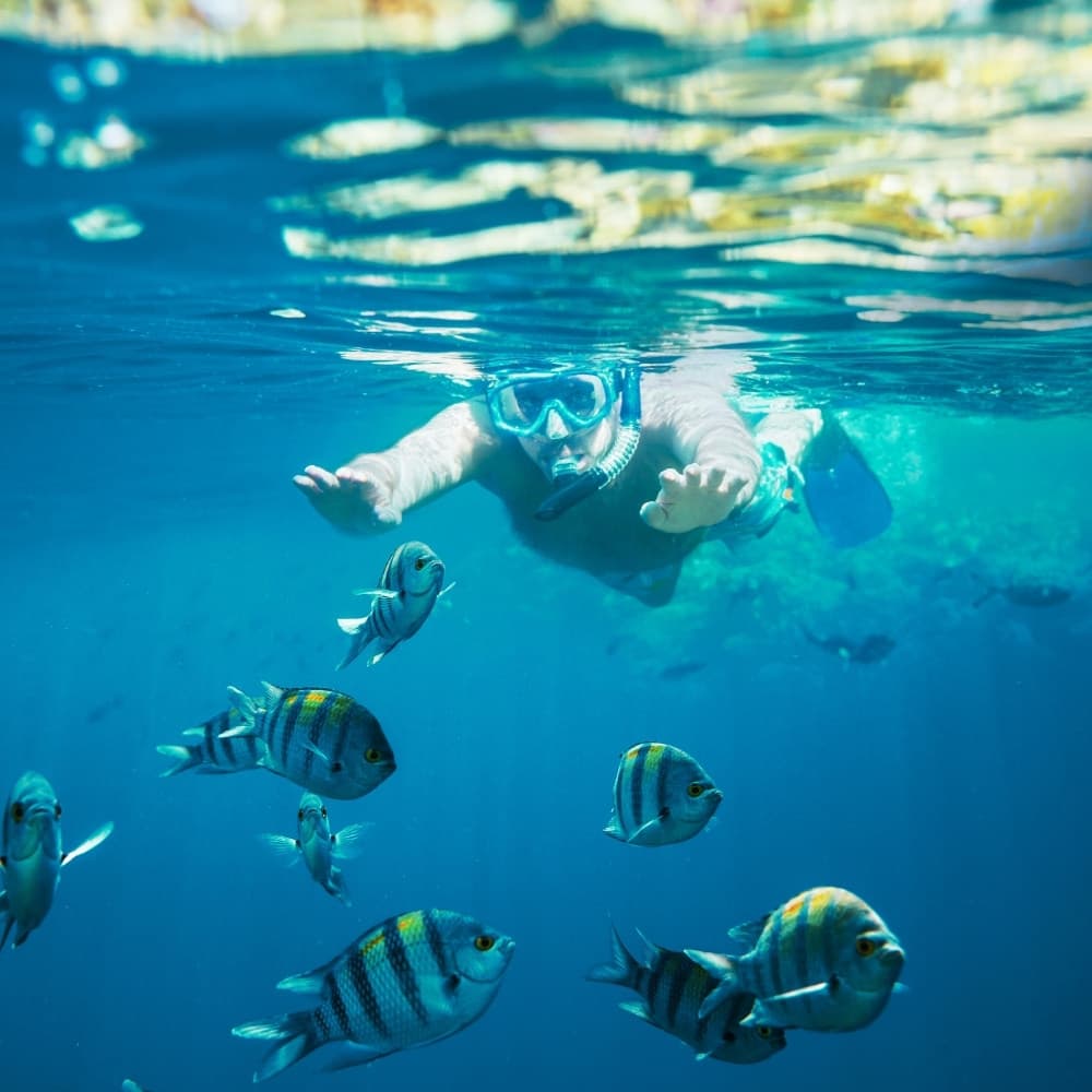A snorkeler swims underwater among colorful fish.