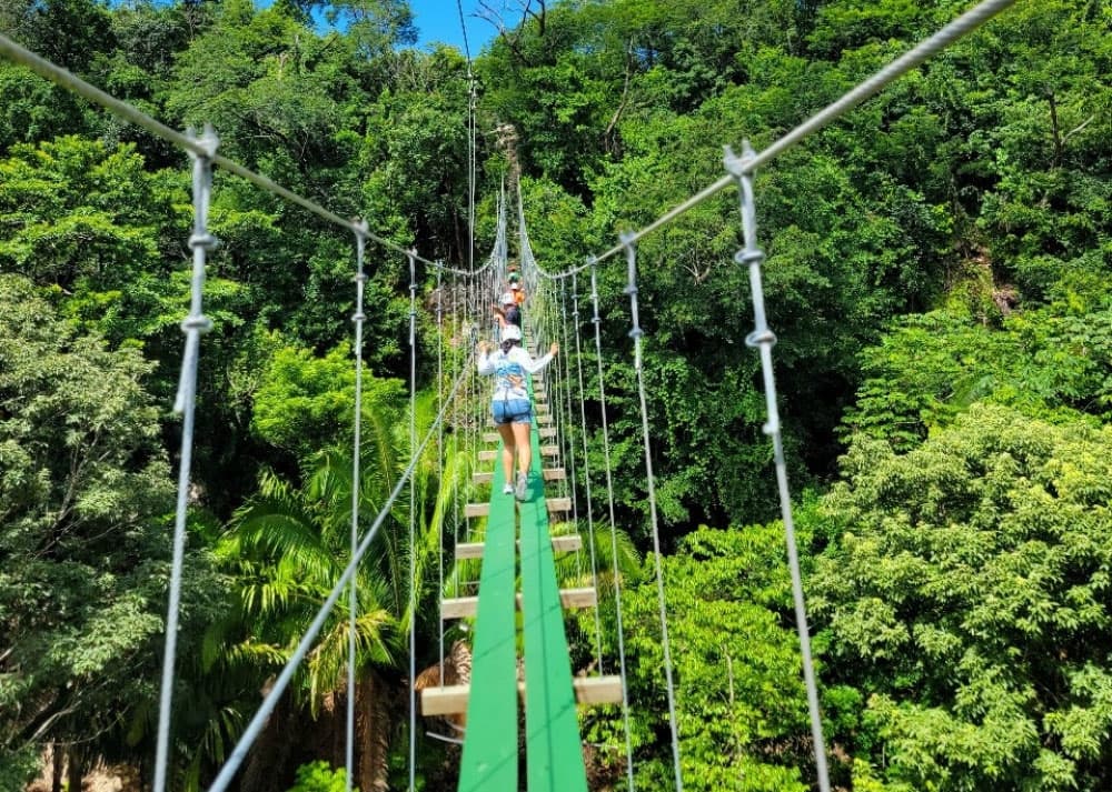 A person walks across a green suspension bridge surrounded by lush trees.