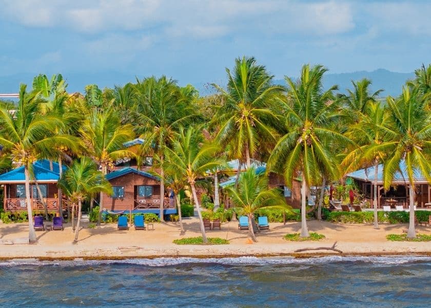 A row of private, beachfront cabins surrounded by palms, and steps from the water at Coconut Row.