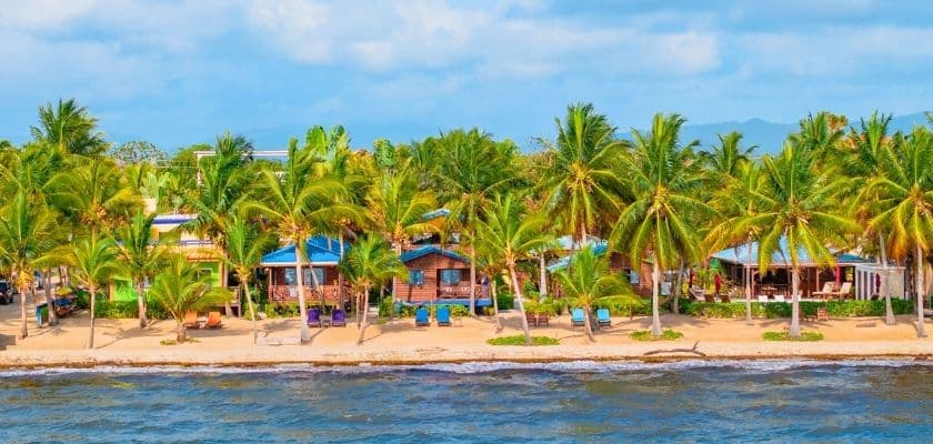 An aerial view of the beachfront cabanas at Coconut Row under a blue sky, surrounded by green palm trees.