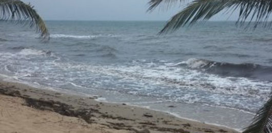 beach erosion in Hopkins Belize