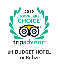 Tripadvisor Award 2019
