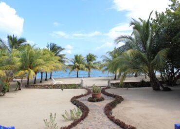 Coconut Row Hopkins Belize