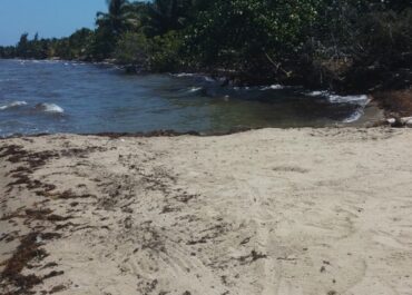 erosion in Hopkins Belize