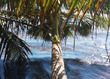 erosion in Hopkins Belize