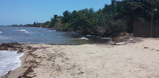 Catastrophic beach erosion in Hopkins Belize