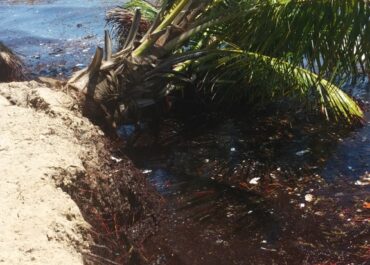 erosion in Hopkins Belize