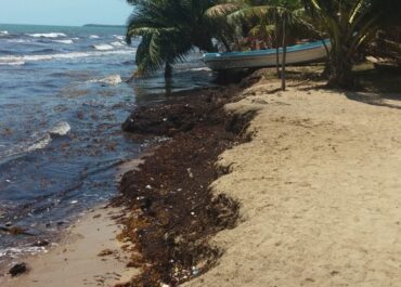 erosion in Hopkins Belize