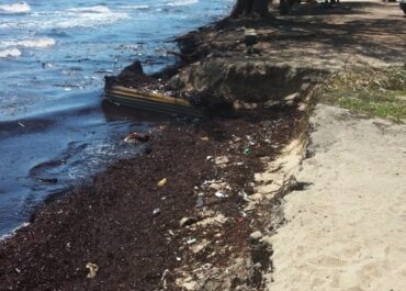erosion in Hopkins Belize