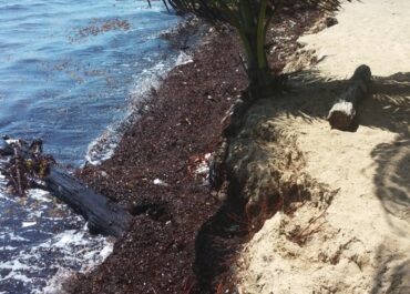 erosion in Hopkins Belize