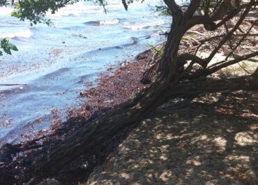 erosion in Hopkins Belize