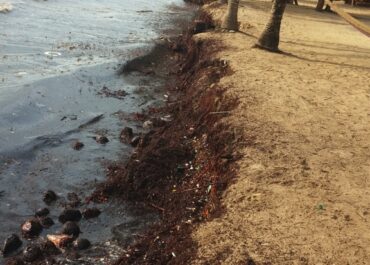 erosion in Hopkins Belize