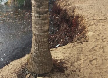 erosion in Hopkins Belize