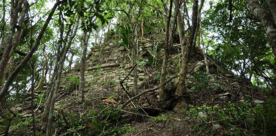 Cockscomb Basin Wildlife Sanctuary Belize