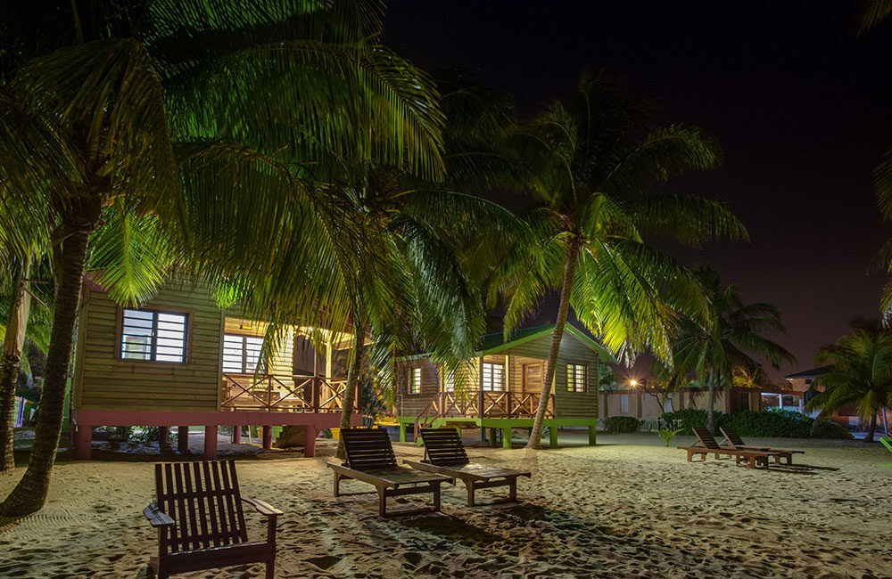 Cohune Cabin Hopkins Belize