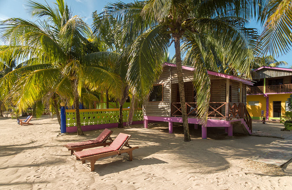 Coconut Row Beachfront Cabin