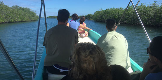 Hopkins Belize Monkey River boat tour