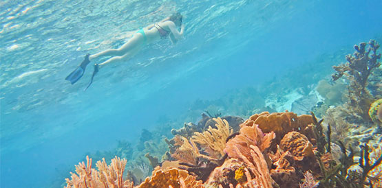 Hopkins Belize Snorkeling