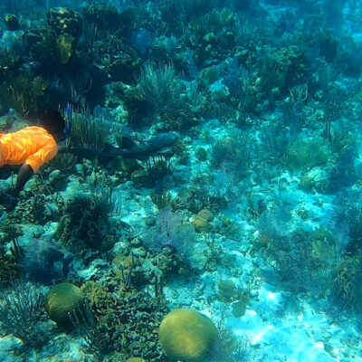 Hopkins Belize Snorkeling