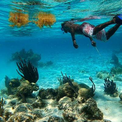 Hopkins Belize Snorkeling