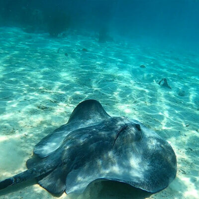 Hopkins Belize Snorkeling