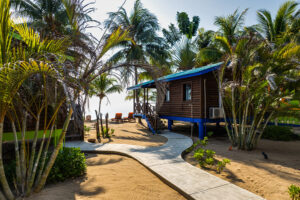 Coconut Row Cohune Cabin